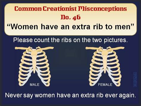 number of ribs in man and woman